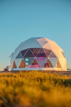The Hive